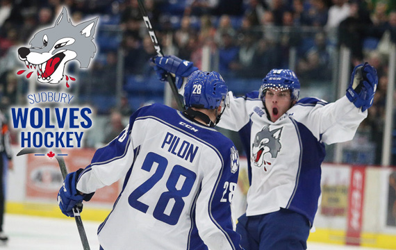 Sudbury Wolves